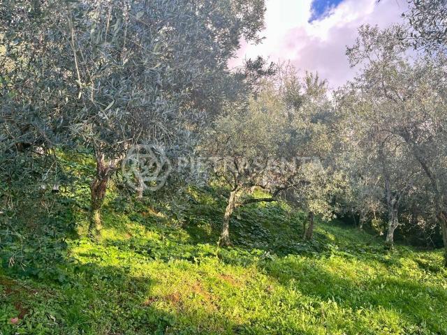 Rustico in vendita a Tonfano, Toscana
