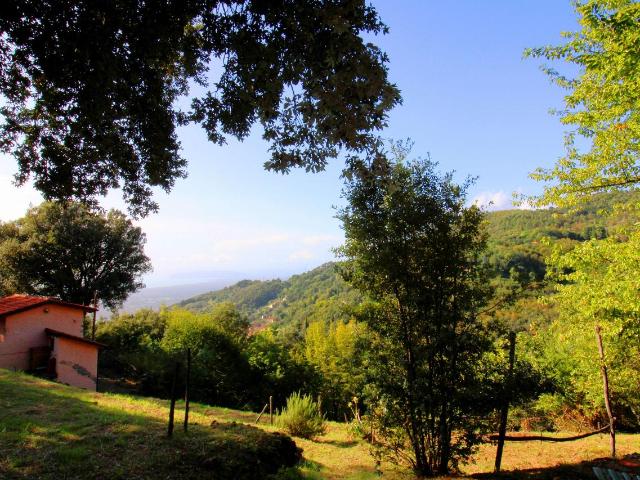 Rustico in vendita a Tonfano, Toscana