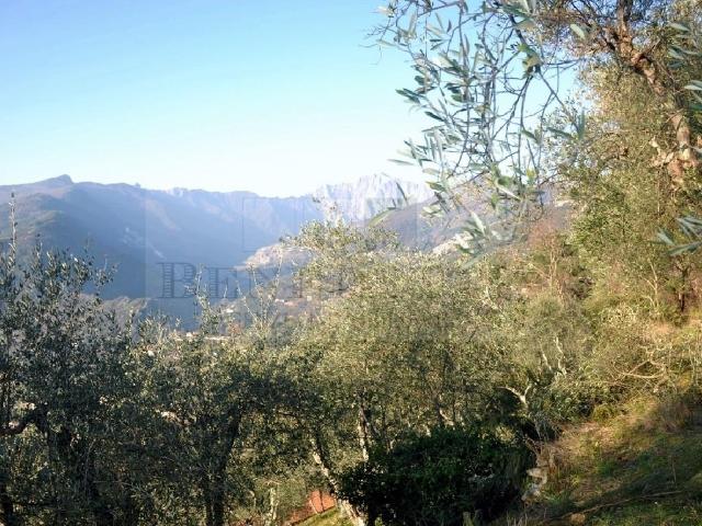 Rustico in vendita a Tonfano, Toscana