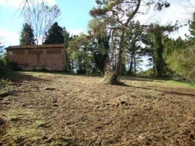 Rustico in vendita a Bellaria, Pontedera