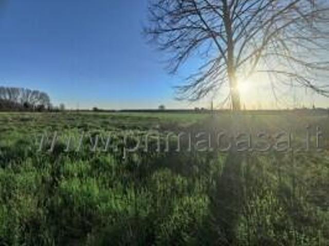 Rustico in vendita a Pressana, Veneto