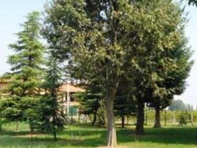 Rustico in vendita a San Nicolò, Re