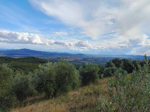 Terreno in vendita a Roccastrada, Toscana