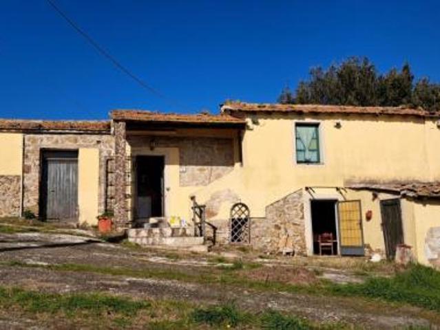 Terreno in vendita a Rosignano Marittimo, Toscana