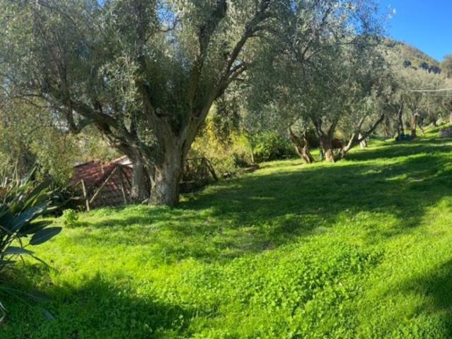 Rustico in vendita a Calabria, Reggio Calabria
