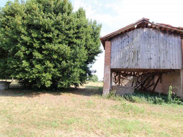 Rustico in vendita a San Pietro Viminario, Veneto