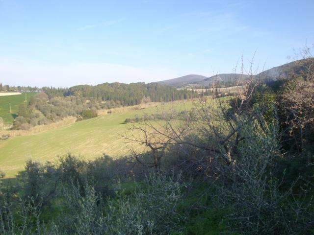 Rustico in vendita a Santa Luce, Toscana