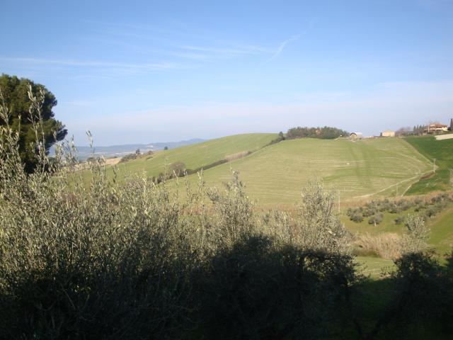 Rustico in vendita a Santa Luce, Toscana