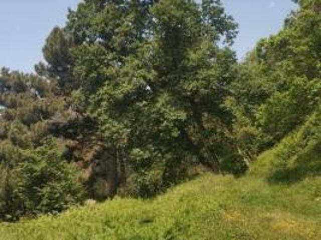 Terreno in vendita a Montignoso, Toscana