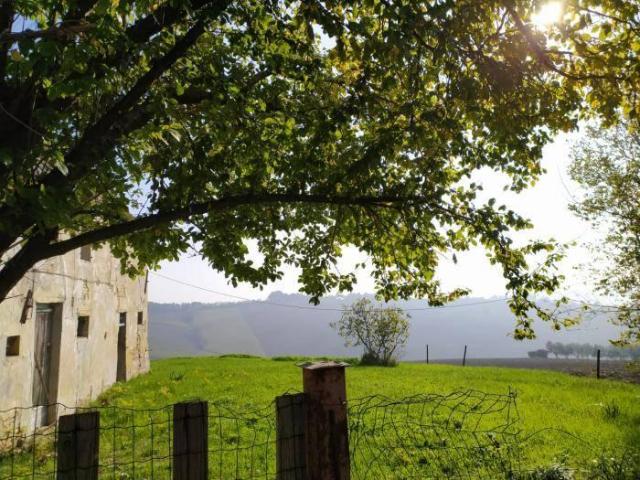 Rustico in vendita a Castellaro, Marche