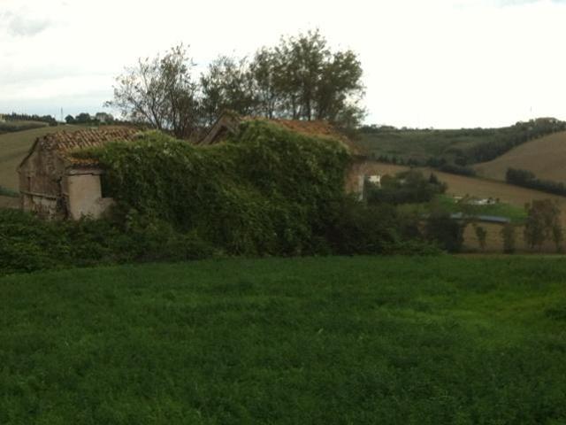 Rustico in vendita a Sant'Angelo, Marche
