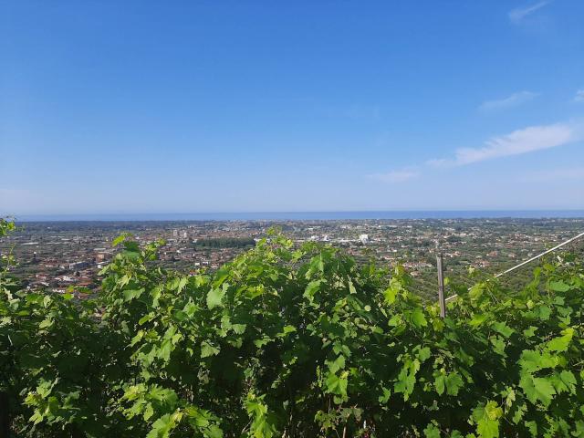 Rustico in vendita a Ripa, Seravezza