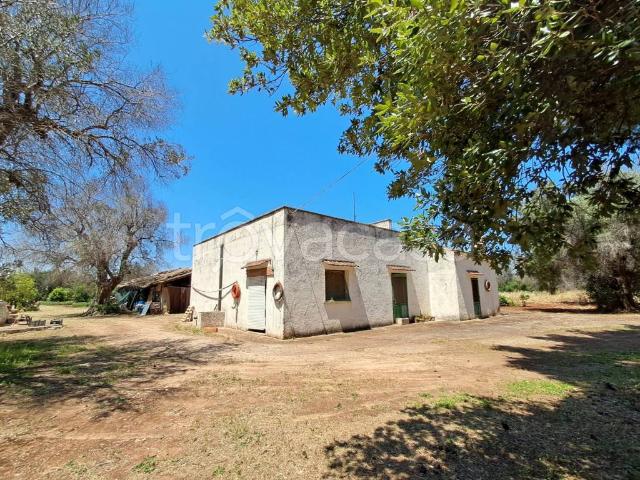 Rustico in vendita a Puglia, Brindisi