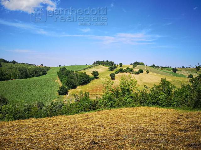 Rustico in vendita a Terre Roveresche, Marche