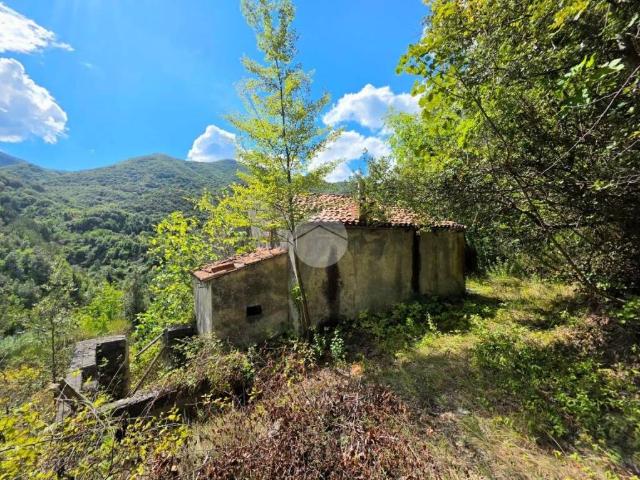 Rustico in vendita a Aieta, Cosenza