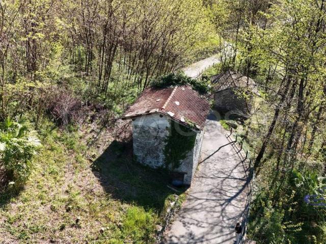 Rustico in vendita a Traona, Lombardia