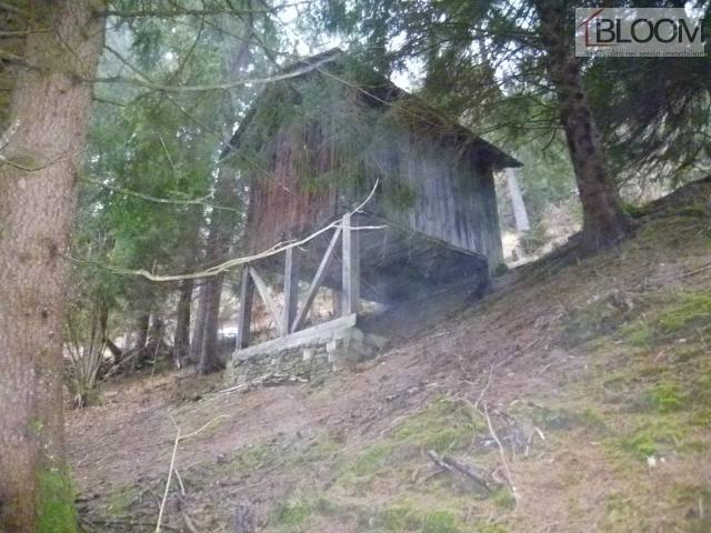 Rustico in vendita a Valle Di Cadore, Veneto