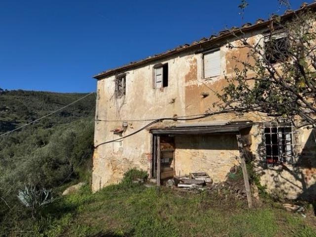 Terreno in vendita a San Giovannialla Vena, Toscana