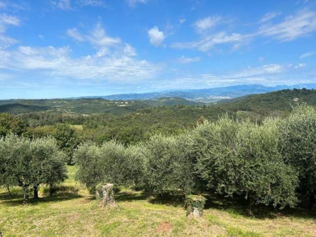 Terreno in vendita a Villaga, Veneto