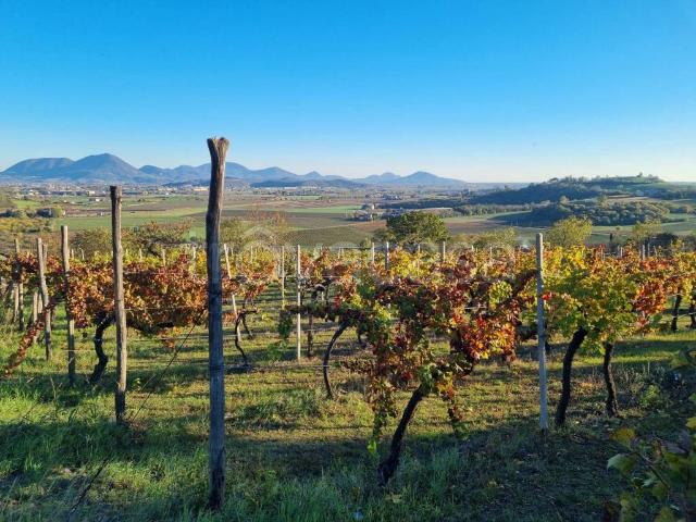 Rustico in vendita a Belvedere, Villaga