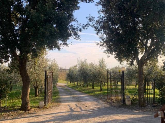 Rustico in vendita a Unione dei Comuni Circondario dell'Empolese Valdelsa, Vinci