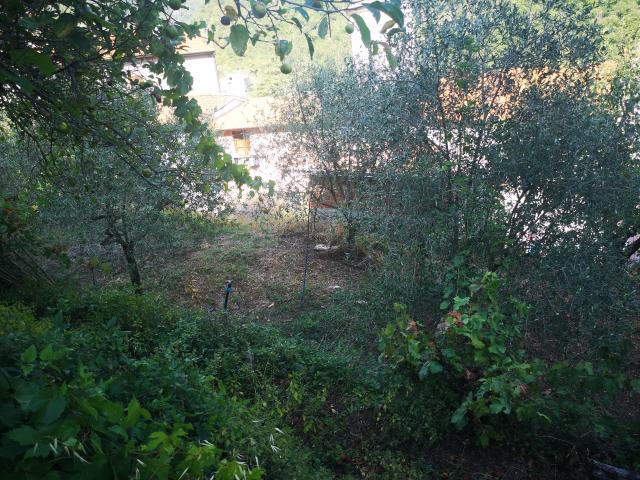 Rustico in vendita a L'Annunziata, Luni