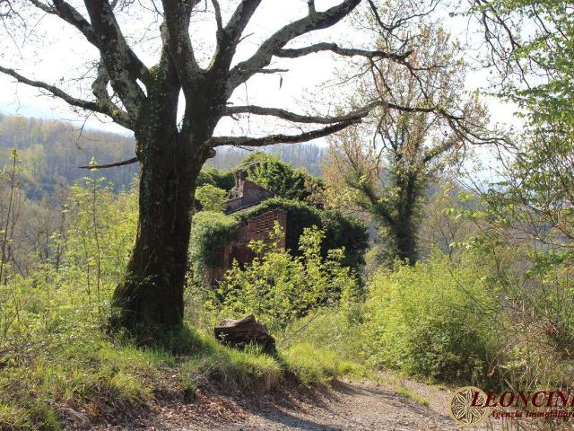 Rustico in vendita a Unione di comuni Montana Lunigiana, Villafranca In Lunigiana