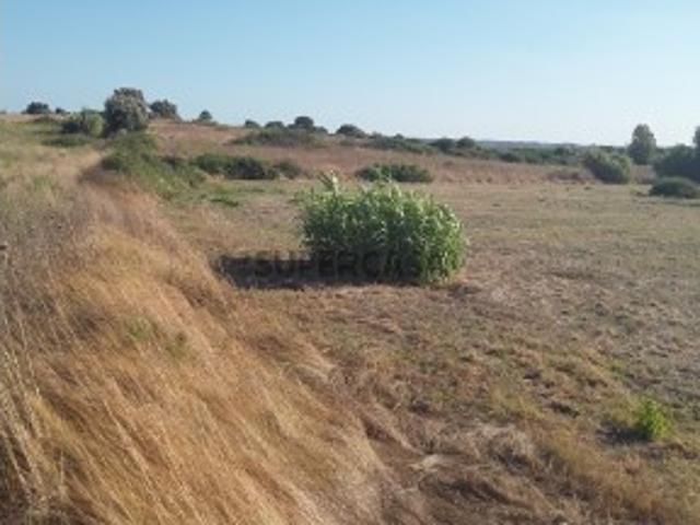 Terreno venda em Cartaxo, Santarém