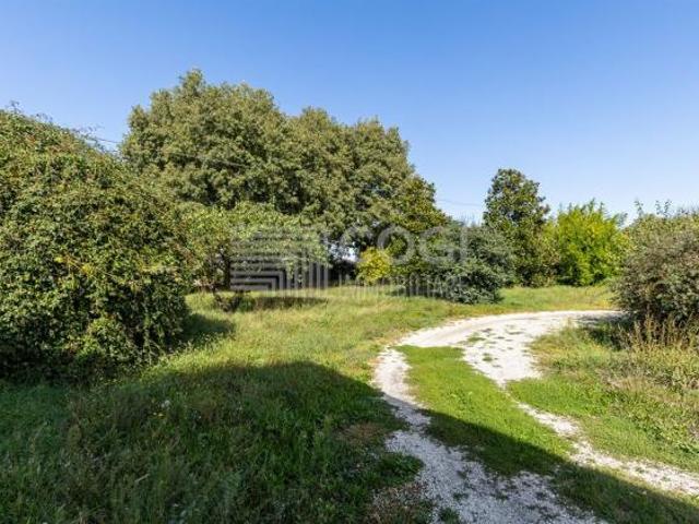 Terreno in vendita a Unione della Romagna Faentina, Solarolo
