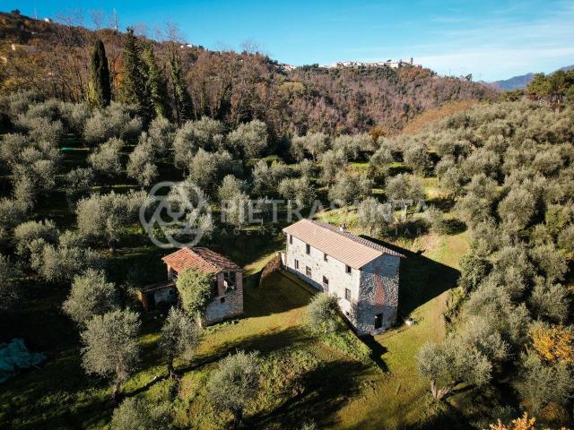 Rustico in vendita a Massarosa, Toscana