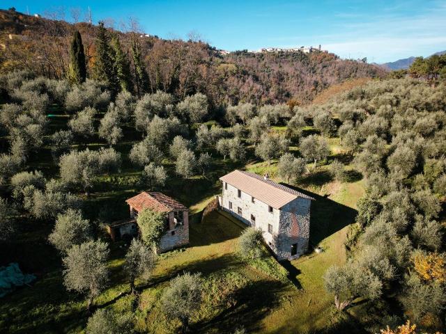 Rustico in vendita a Massarosa, Toscana