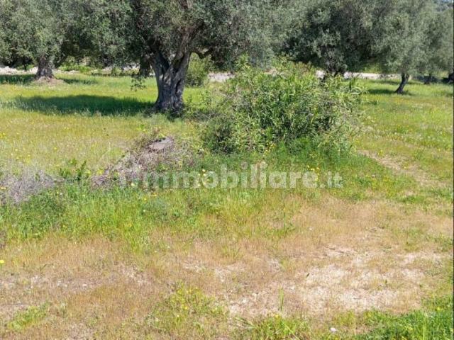 Villa Indipendente in affitto a Santopadre, Lazio