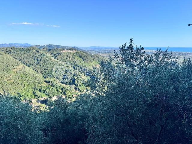 Rustico in vendita a Tonfano, Toscana