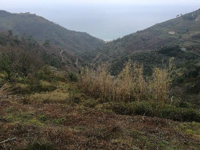 Rustico in vendita a Vicci, La Spezia
