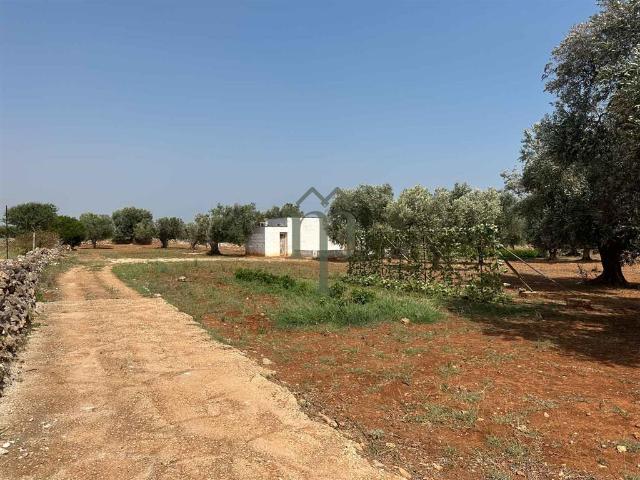 Rustico in vendita a Puglia, Brindisi