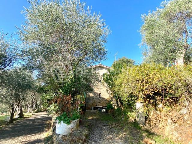 Rustico in vendita a Tonfano, Toscana