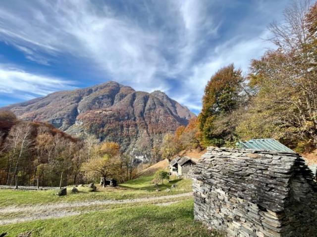 Zweifamilienhaus kaufen in Cevio, Tessin