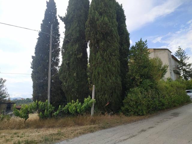 Rustico in vendita a Stella, Marche