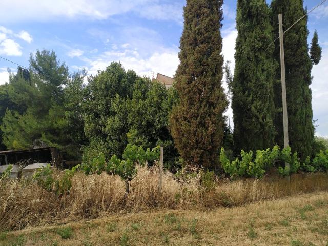 Rustico in vendita a Stella, Monsampolo del Tronto