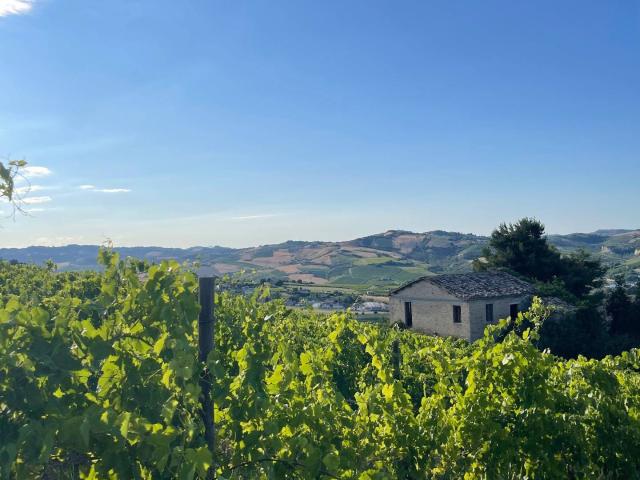 Rustico in vendita a Marche, Ascoli Piceno