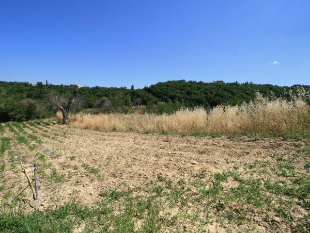 Rustico in vendita a Ripatransone, Ascoli Piceno
