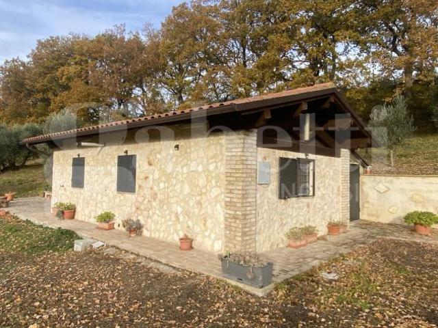 Box in vendita a Assisi, Umbria