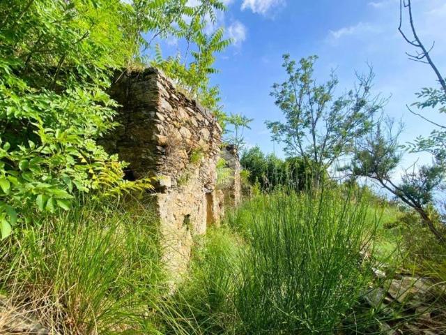 Rustico in vendita a Calabria, Cosenza