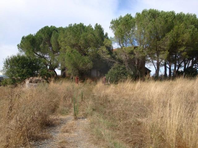 Rustico in vendita a Bibbona, Livorno
