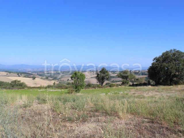 Rustico in vendita a Cinigiano, Toscana
