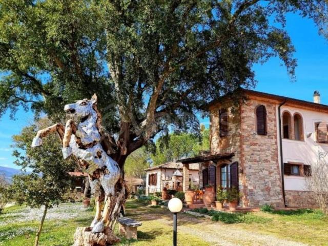Rustico in vendita a Civitella Paganico, Toscana