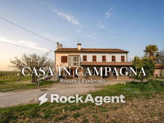 Rustico in vendita a Codevigo, Veneto