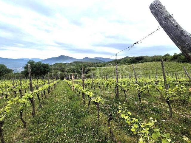 Rustico in vendita a Contrada, Campania