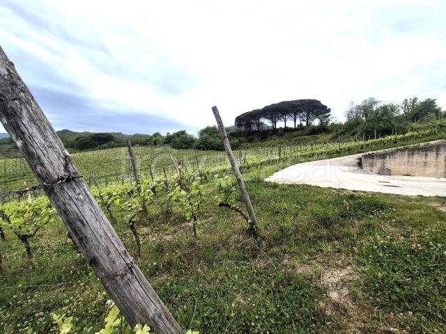 Rustico in vendita a Contrada, Campania