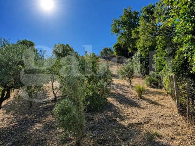Rustico in vendita a Corigliano-Rossano, Calabria